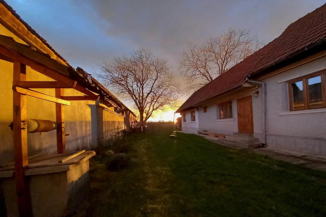 Cîrţişoara Galeria Turismului Montan旅馆 外观 照片