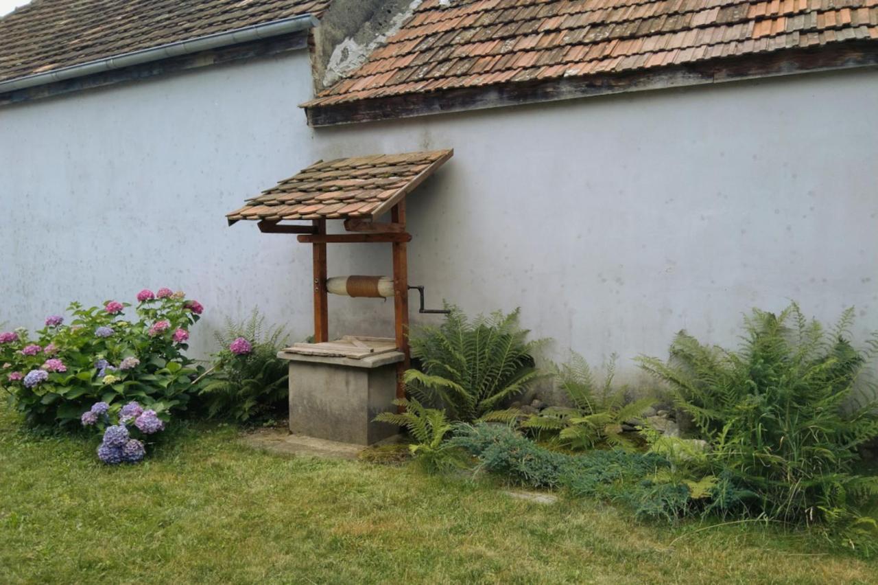 Cîrţişoara Galeria Turismului Montan旅馆 外观 照片