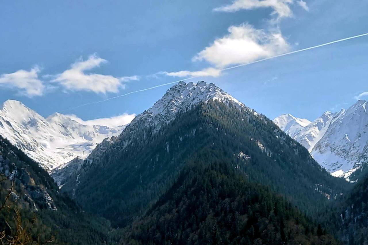 Cîrţişoara Galeria Turismului Montan旅馆 外观 照片