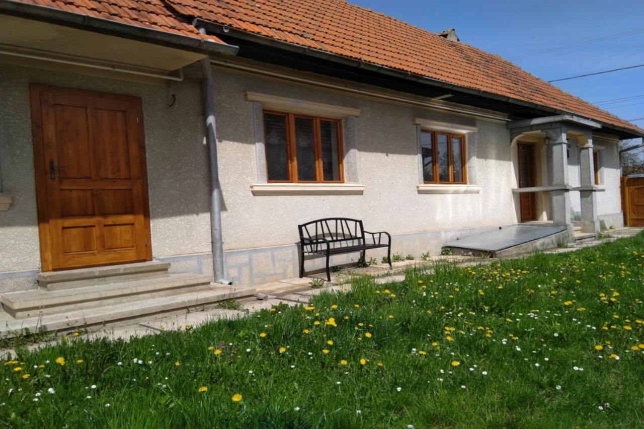 Cîrţişoara Galeria Turismului Montan旅馆 外观 照片