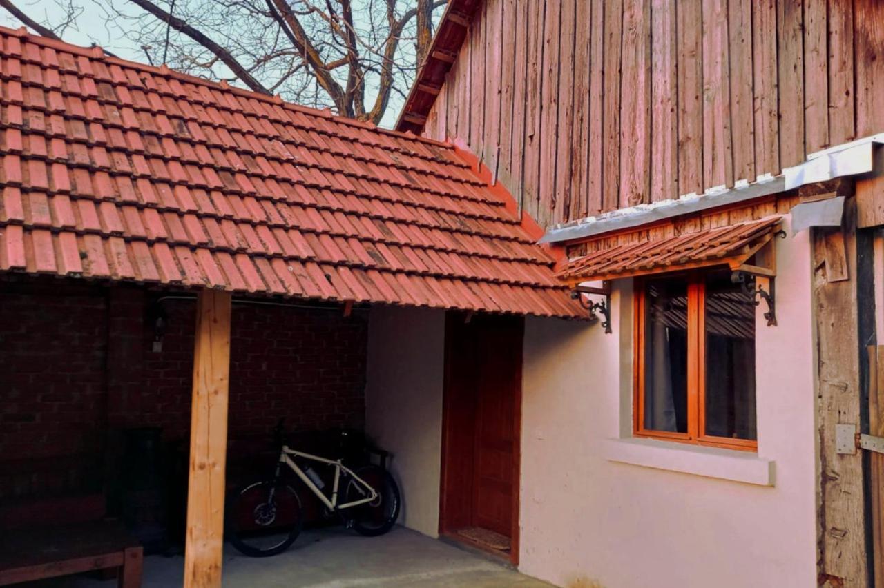 Cîrţişoara Galeria Turismului Montan旅馆 外观 照片
