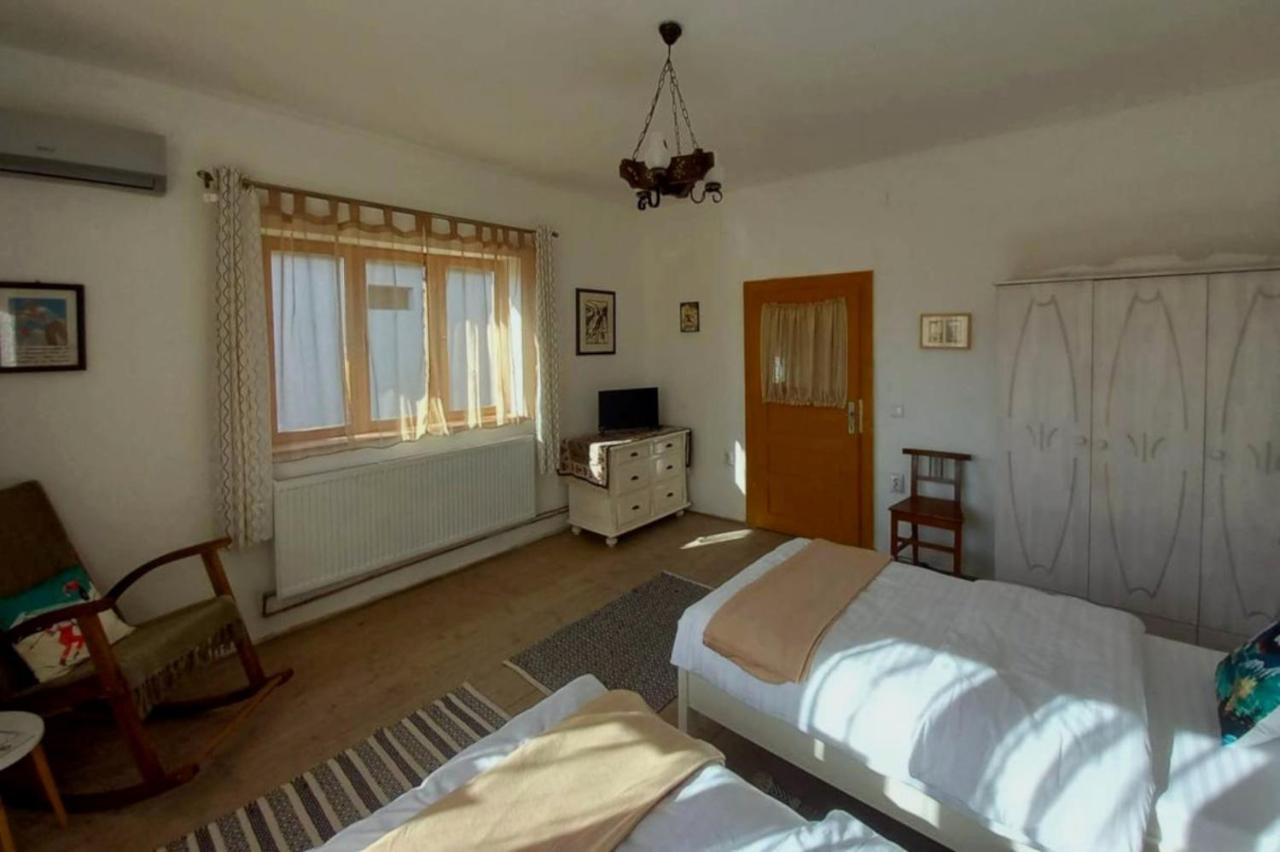 Cîrţişoara Galeria Turismului Montan旅馆 外观 照片