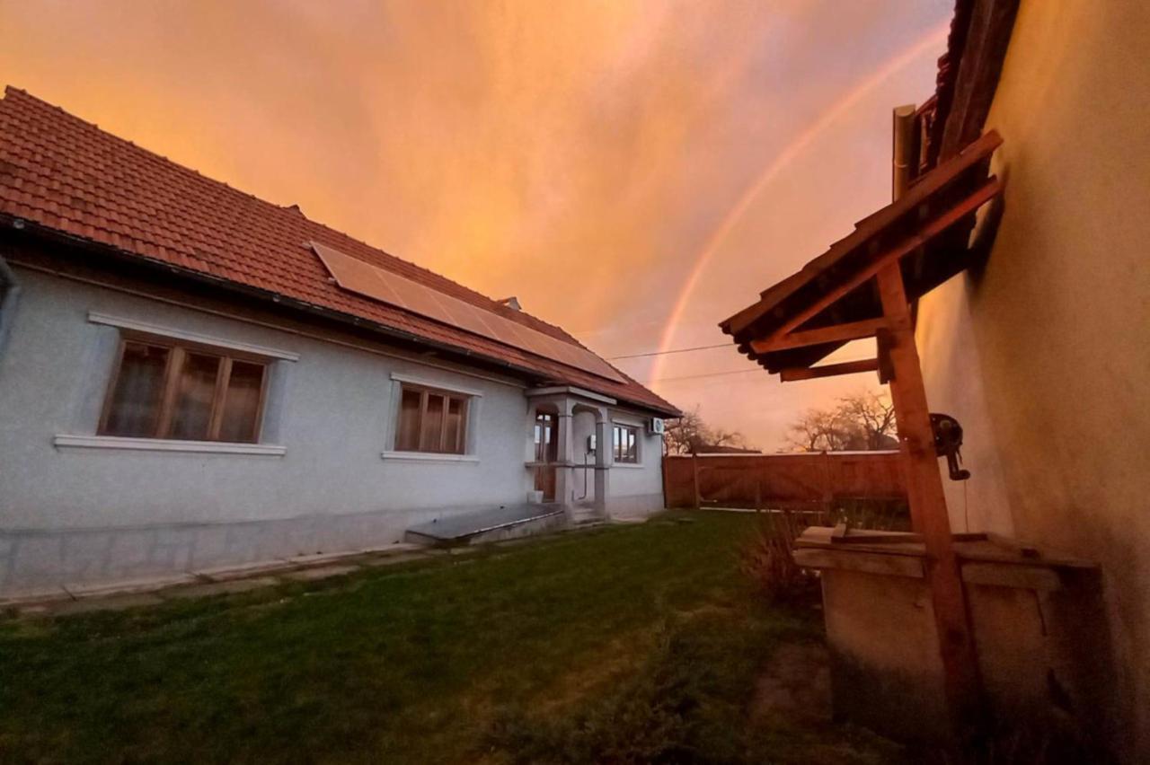 Cîrţişoara Galeria Turismului Montan旅馆 外观 照片