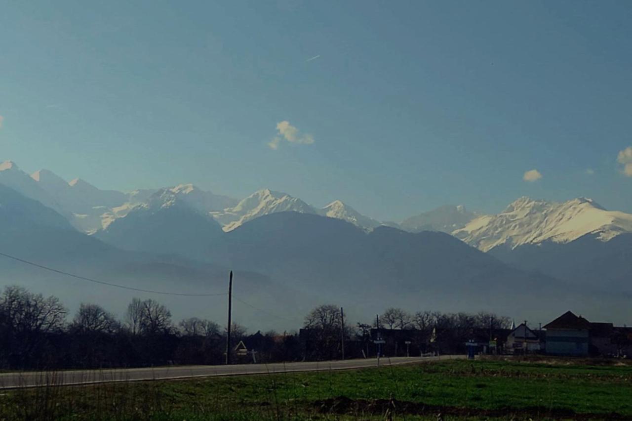 Cîrţişoara Galeria Turismului Montan旅馆 外观 照片