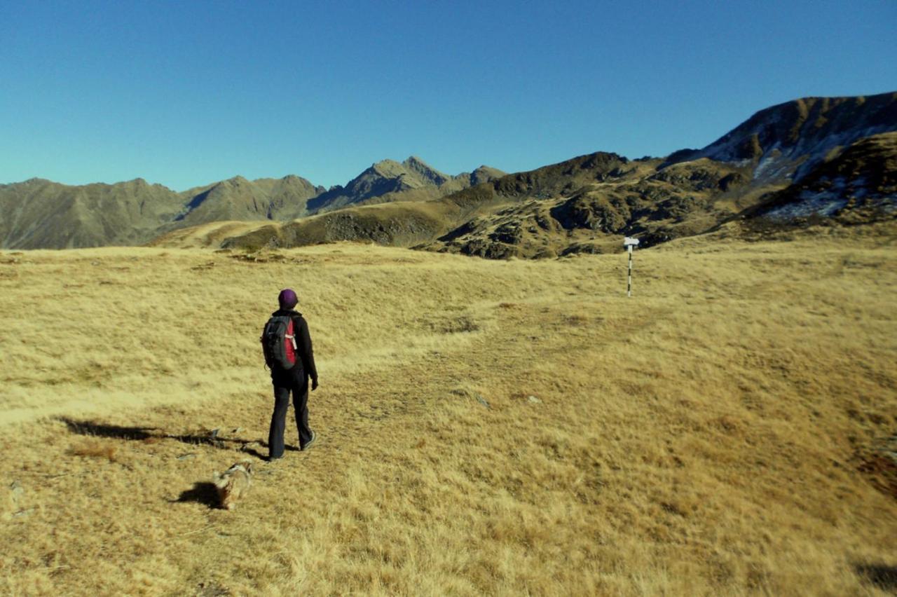 Cîrţişoara Galeria Turismului Montan旅馆 外观 照片